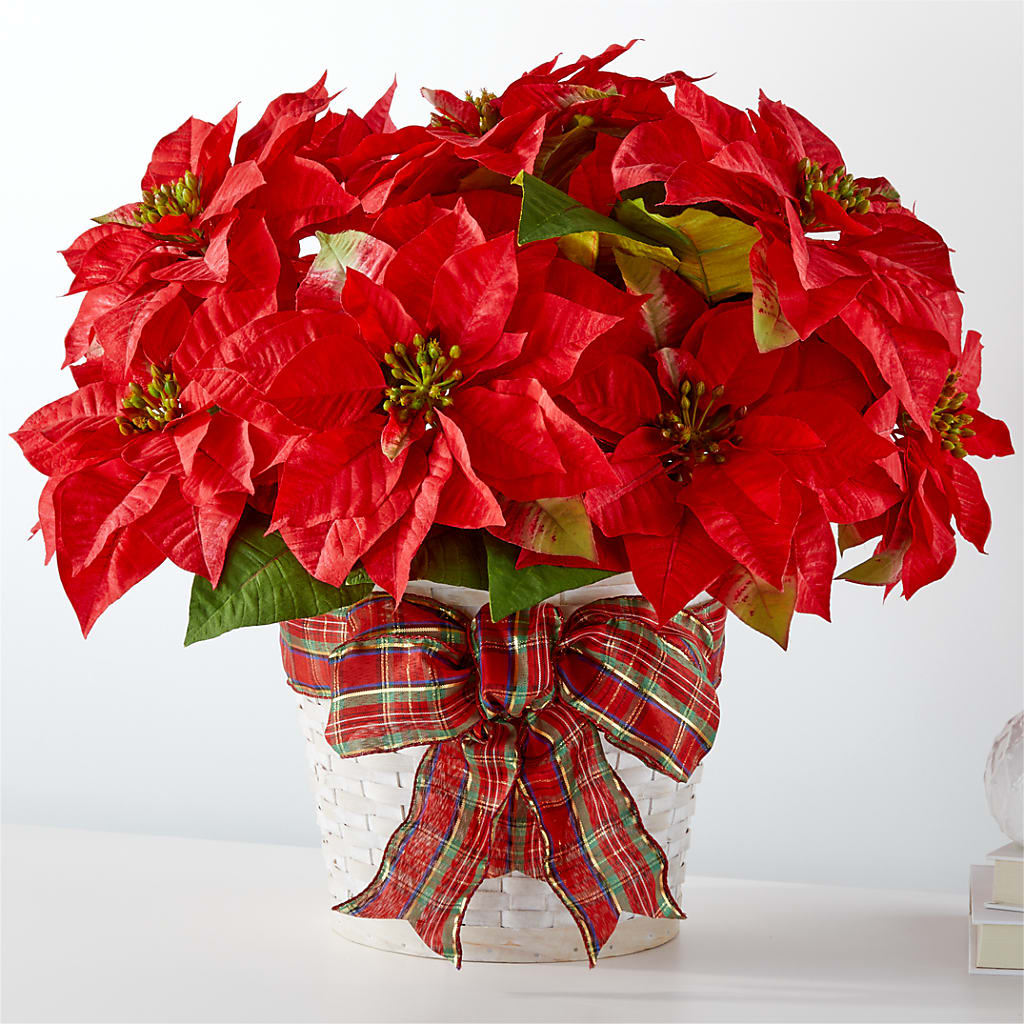 Happiest Holidays Poinsettia – A Heavenly Florist, Newport News VA