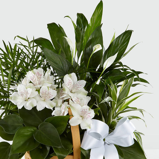 Peace & Serenity Dishgarden – A Heavenly Florist, Newport News VA