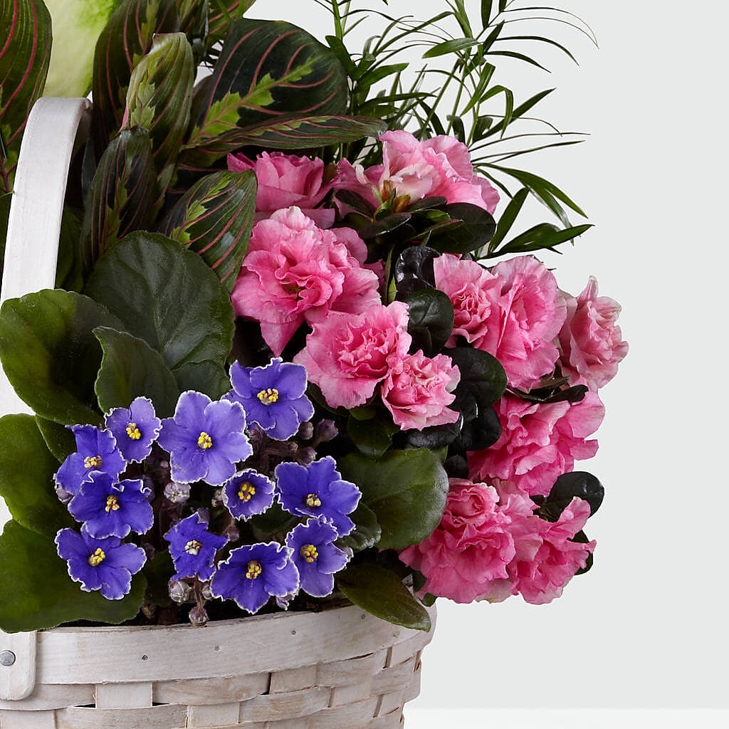 Peaceful Garden Planter – A Heavenly Florist, Newport News VA