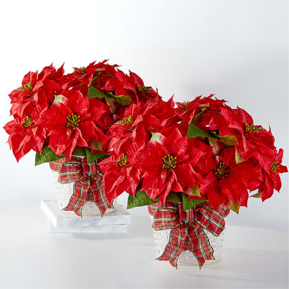Happiest Holidays Poinsettia Bundle –  A Heavenly Florist, Newport News VA