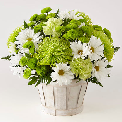 Lucky Charm Basket (Standard) –  A Heavenly Florist, Newport News VA
