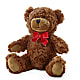 Adorable Plush Bear –  A Heavenly Florist, Newport News VA
