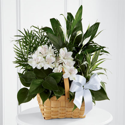 Peace & Serenity Dishgarden –  A Heavenly Florist, Newport News VA