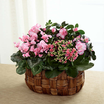 Pink Assortment –  A Heavenly Florist, Newport News VA