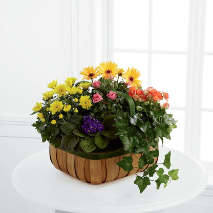 Gentle Blossoms Basket –  A Heavenly Florist, Newport News VA