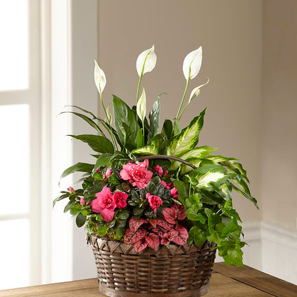 Dream in Pink Dishgarden –  A Heavenly Florist, Newport News VA