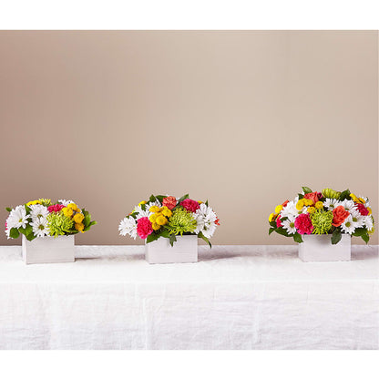 Sorbet Bouquet –  A Heavenly Florist, Newport News VA