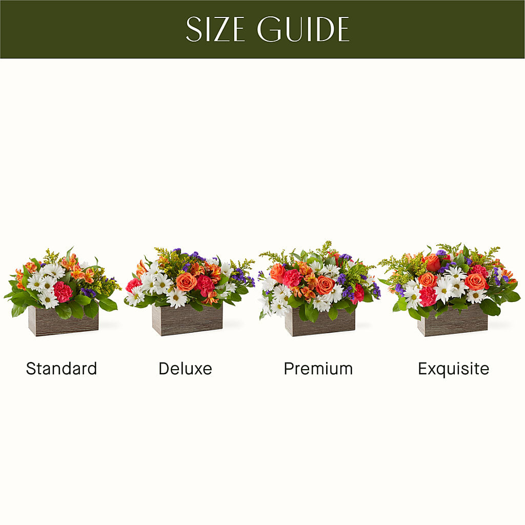 Oopsie Daisy Box Bouquet –  A Heavenly Florist, Newport News VA