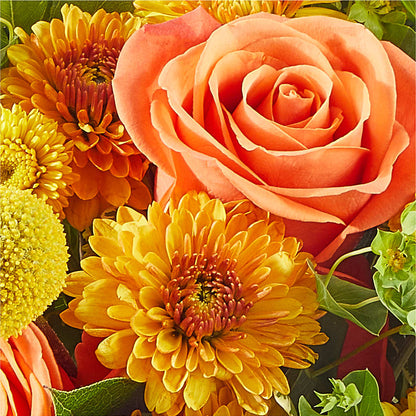 Gourdgeous Pumpkin –  A Heavenly Florist, Newport News VA