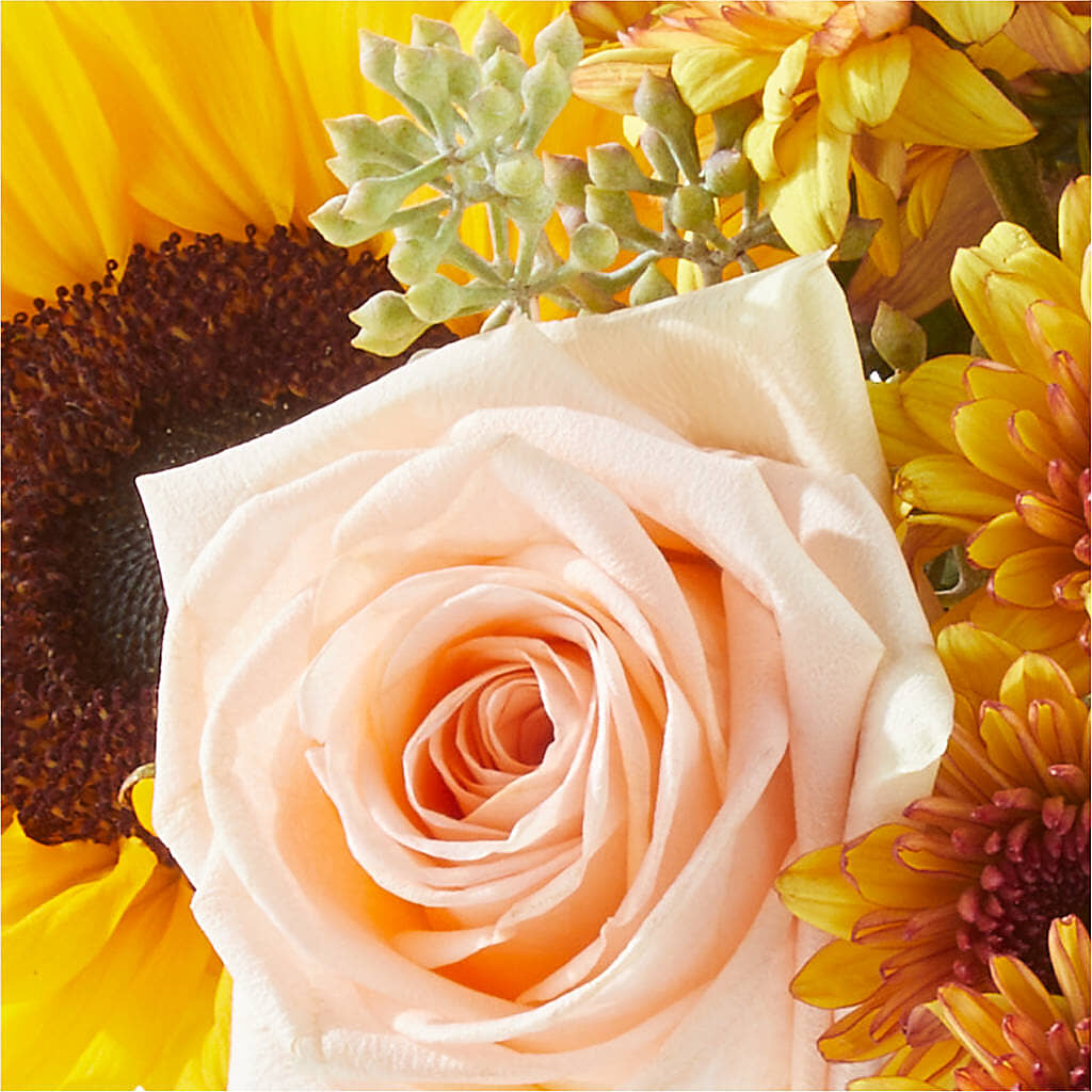 Pumpkin to Talk About Bouquet –  A Heavenly Florist, Newport News VA