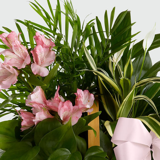 Living Spirit Dishgarden –  A Heavenly Florist, Newport News VA