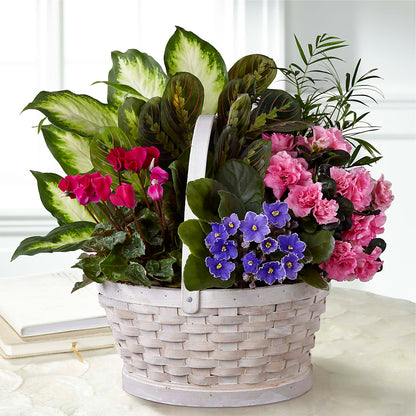 Peaceful Garden Planter –  A Heavenly Florist, Newport News VA