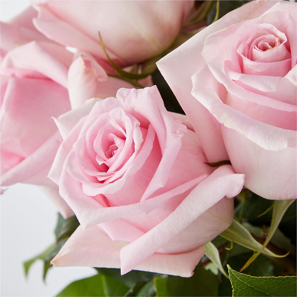 Picture Perfect Pink Rose Bouquet –  A Heavenly Florist, Newport News VA