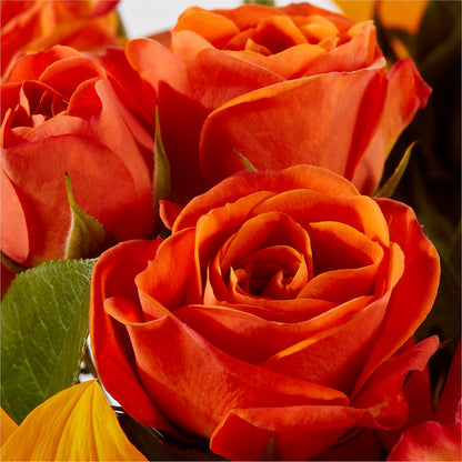 Picnic in the Park Bouquet –  A Heavenly Florist, Newport News VA