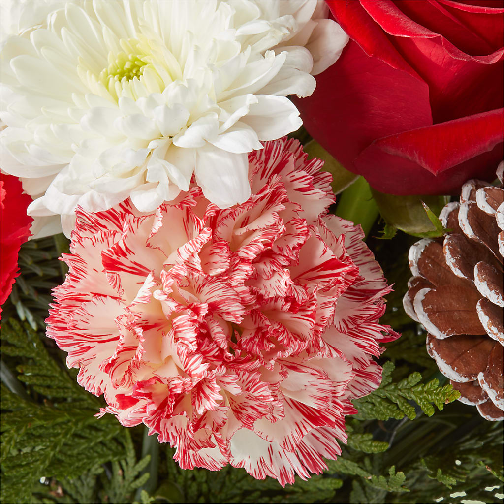 Candy Cane Lane Bouquet –  A Heavenly Florist, Newport News VA
