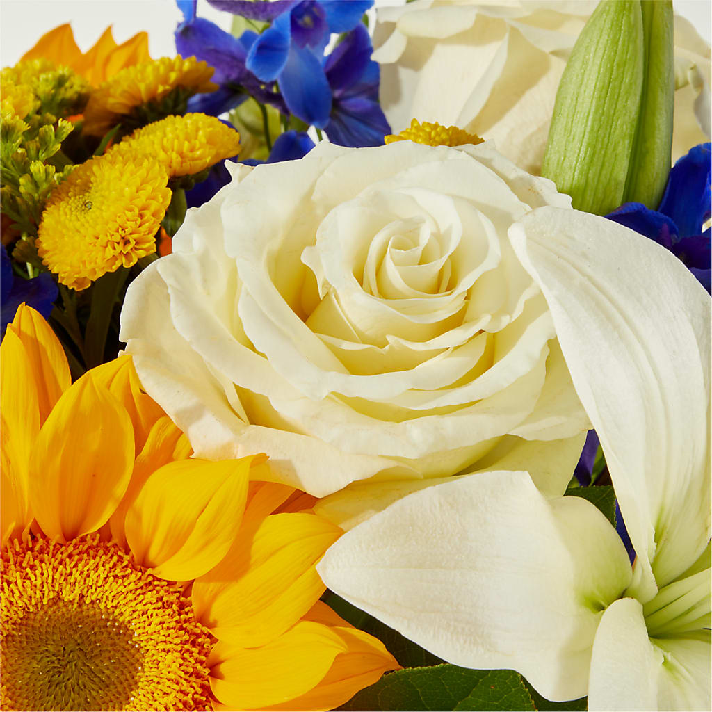 Stargazing Bouquet –  A Heavenly Florist, Newport News VA