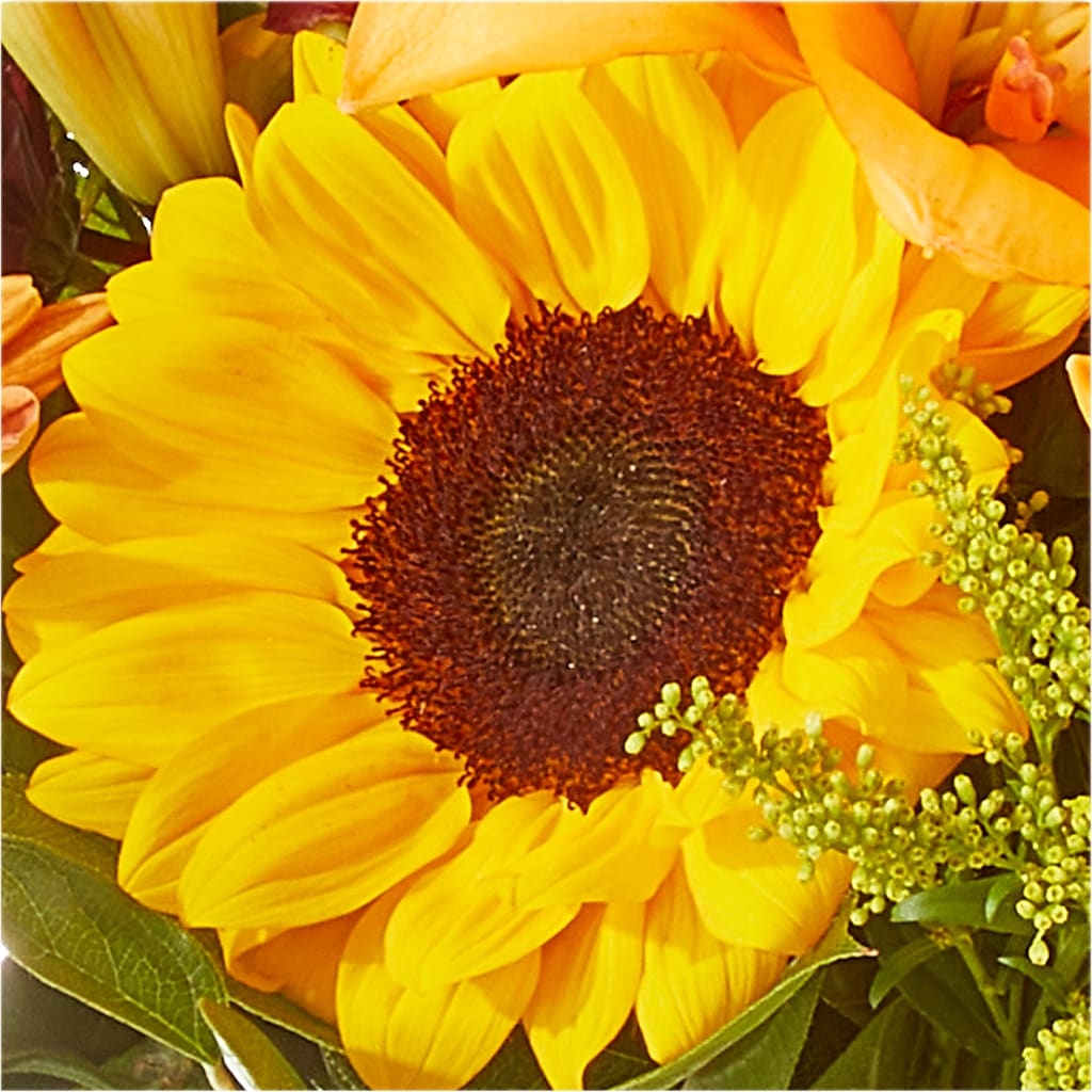 Seasons Change Bouquet –  A Heavenly Florist, Newport News VA