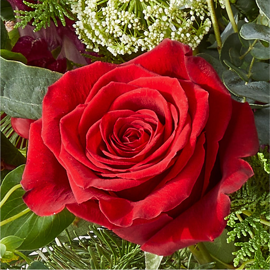 Cranberry Fizz Bouquet –  A Heavenly Florist, Newport News VA