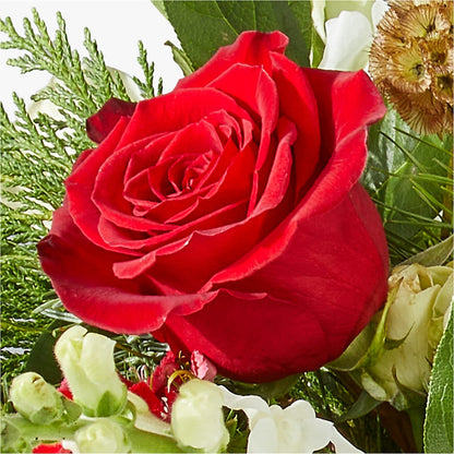 Deck the Halls Bouquet –  A Heavenly Florist, Newport News VA