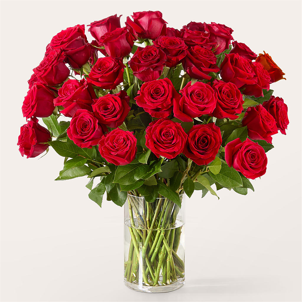 The One Red Rose Bouquet –  A Heavenly Florist, Newport News VA