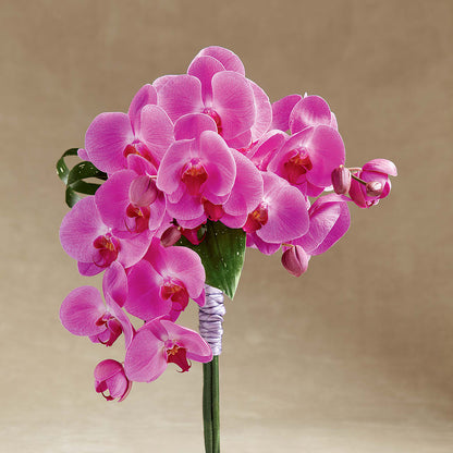 Glorious Bouquet –  A Heavenly Florist, Newport News VA
