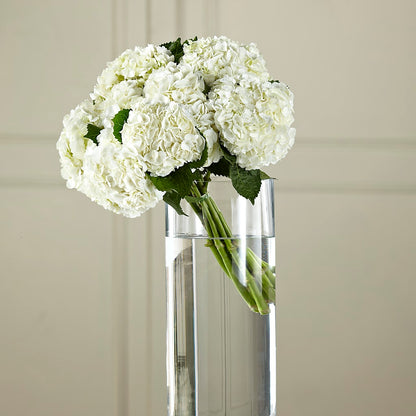 White Hydrangea Hand-Tied Bouquet –  A Heavenly Florist, Newport News VA