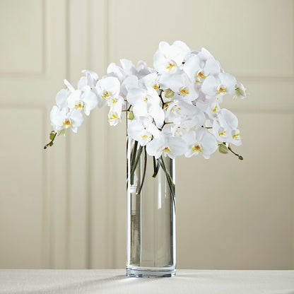 White Phalaenopsis Bouquet –  A Heavenly Florist, Newport News VA