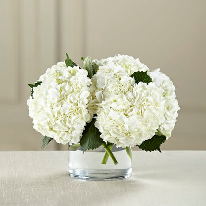 White Hydrangea Bouquet –  A Heavenly Florist, Newport News VA